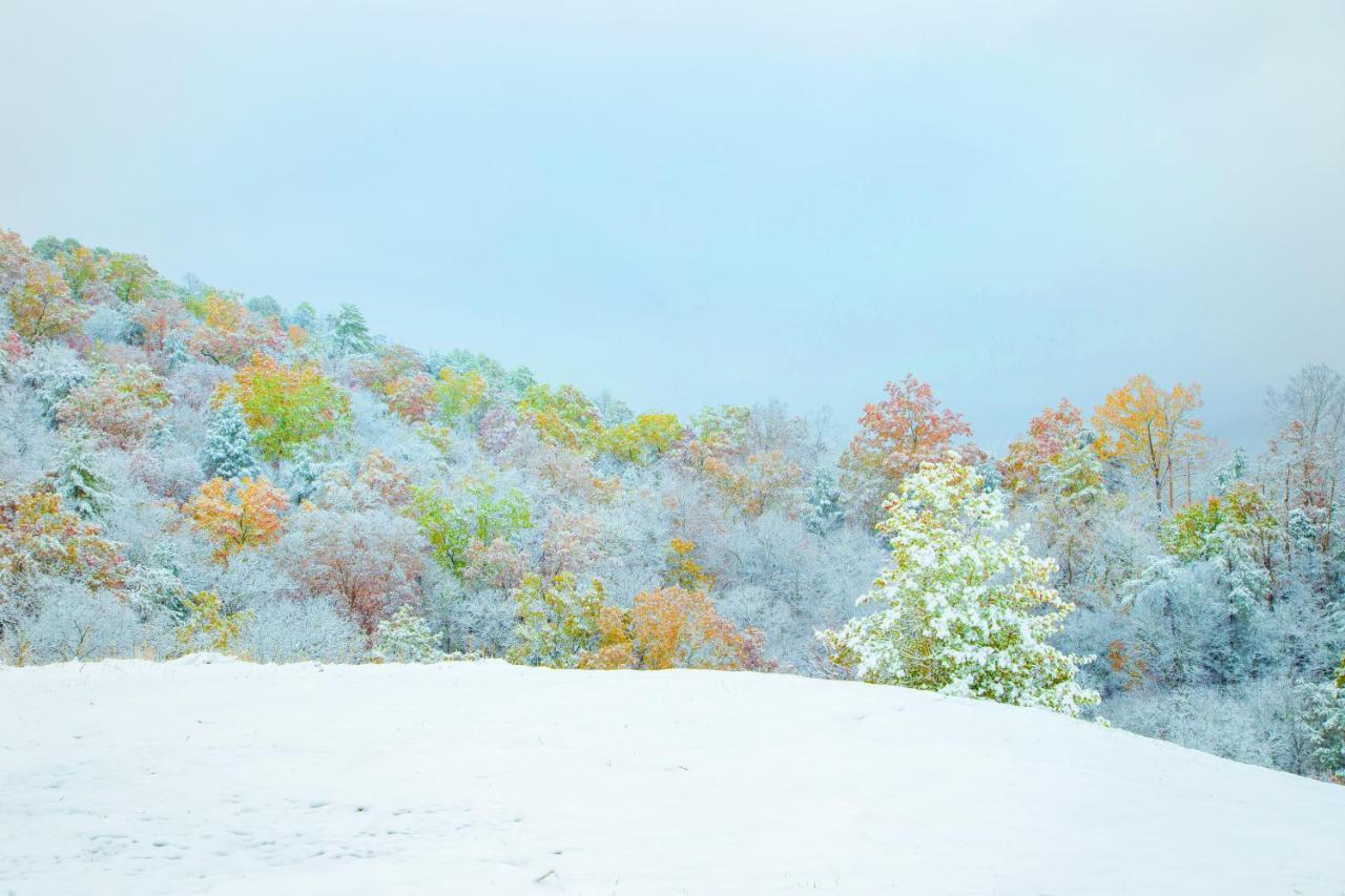 Leconte Mountain Breeze Villa Gatlinburg Dış mekan fotoğraf