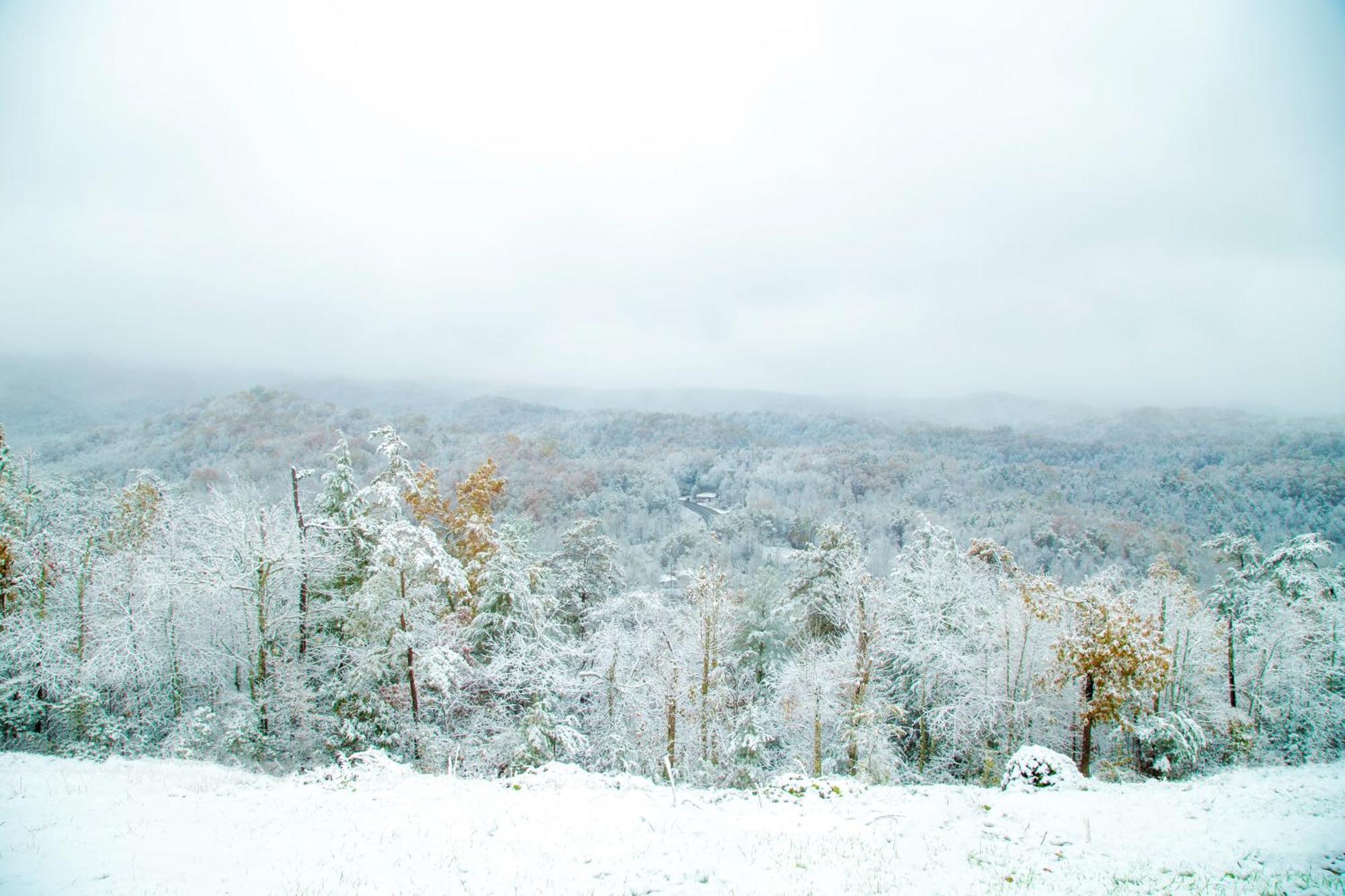 Leconte Mountain Breeze Villa Gatlinburg Dış mekan fotoğraf